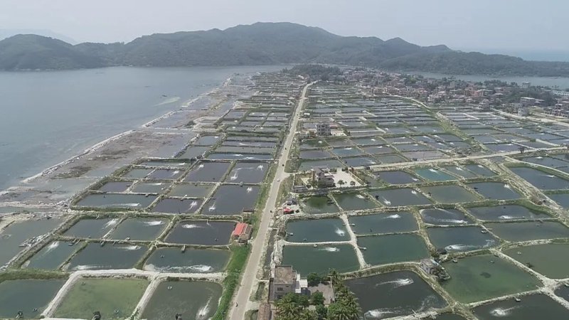 养殖场租赁合同：如何避免纠纷