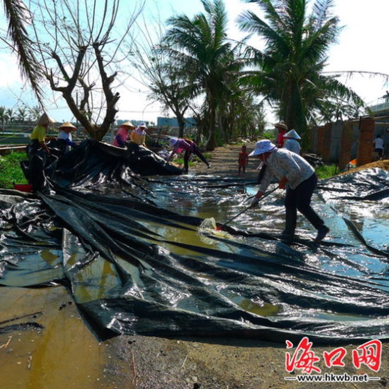 晓三妹养殖场的蜕变之路